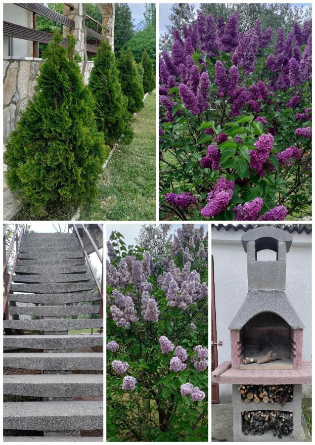 KornićHouse Elan公寓 外观 照片